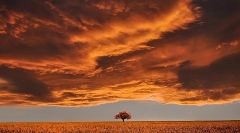 Asegurar el cultivo. Imagen de una tormenta, uno de los motivos por los que asegurar un cultivo o un terreno
