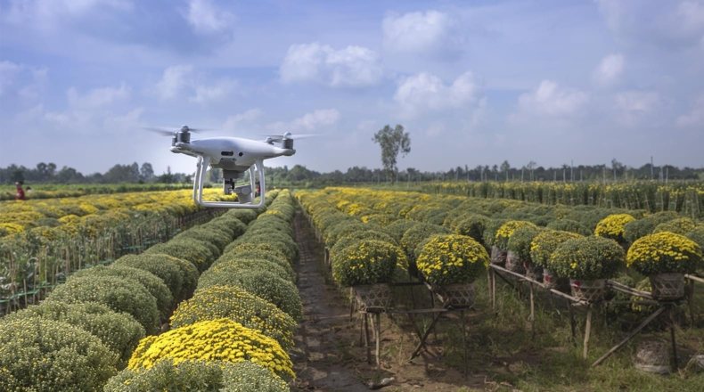 Desarrollo rural. Imagen de un dron sobre un campo agrícola en el que se trabaja el desarrollo rural