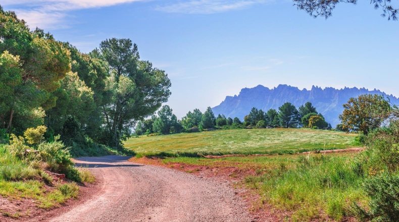 Turismo rural en la Comunidad Valenciana. Imagen de un camino, donde se realizan actividades de turismo rural en la Comunidad Valenciana