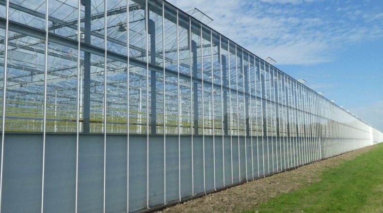 Imagen de exterior de un cultivo en invernadero cerrado con estructura en aluminio