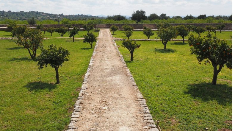 Para ello, un profesional deberá de realizar un estudio y un proyecto del terreno