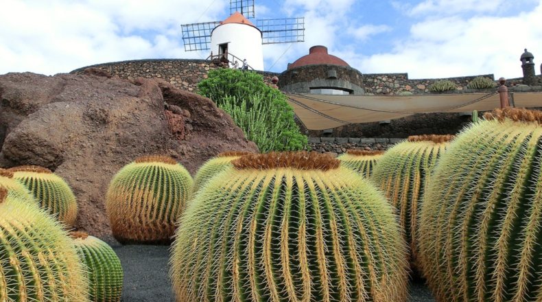 Imagen de Lanzarote