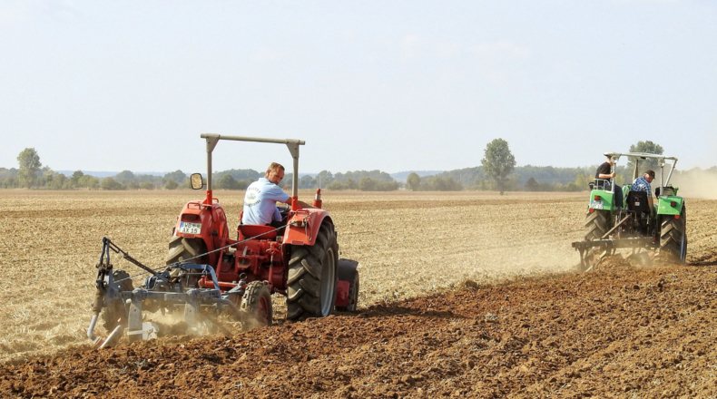 Tractoristas en un terreno
